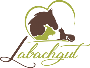 Labachgut